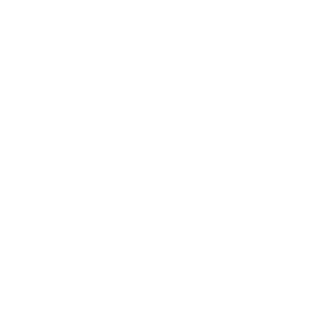 FIDEVI